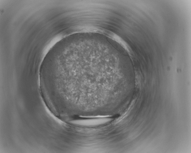 X0000070421095200606302055