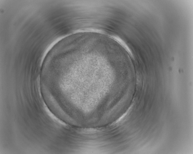 X0000070421100200606302055