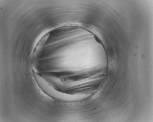 X0000070421102200606302055