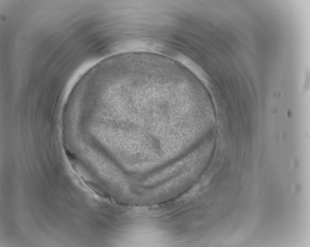 X0000070421104200606302055