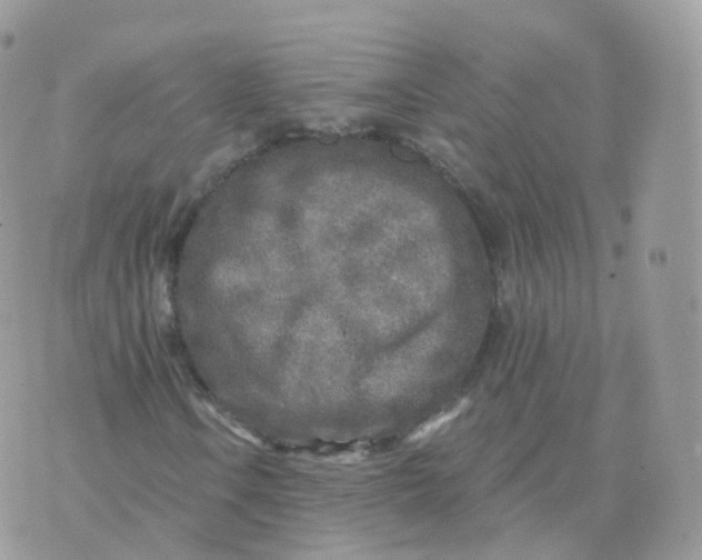 X0000070421106200606302054