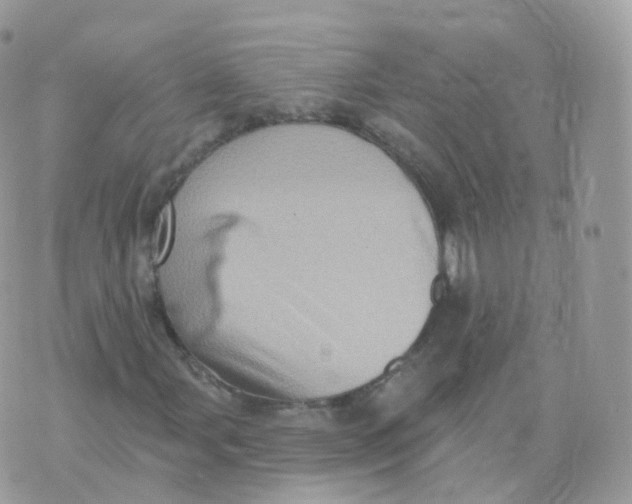 X0000070421107200606302054