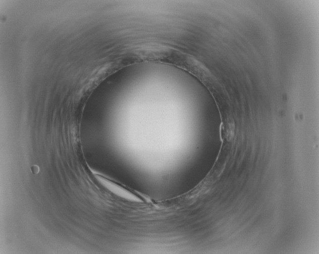 X0000070421108200606302054