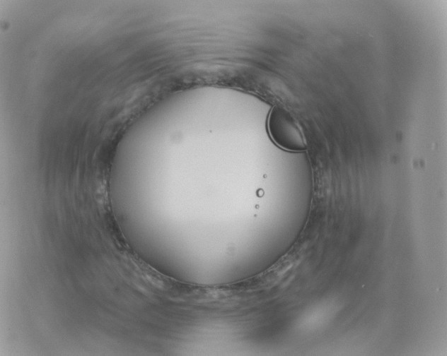 X0000070421109200606302054