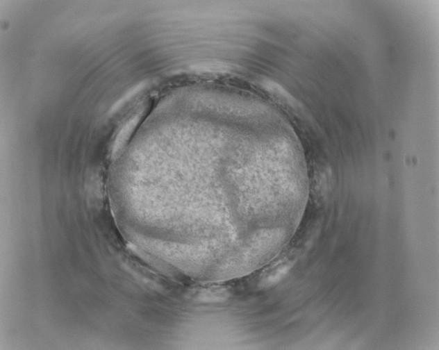 X0000070421110200606302054