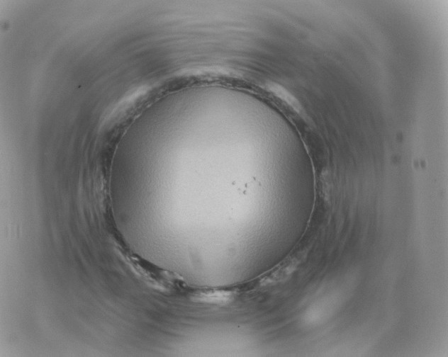 X0000070421111200606302054