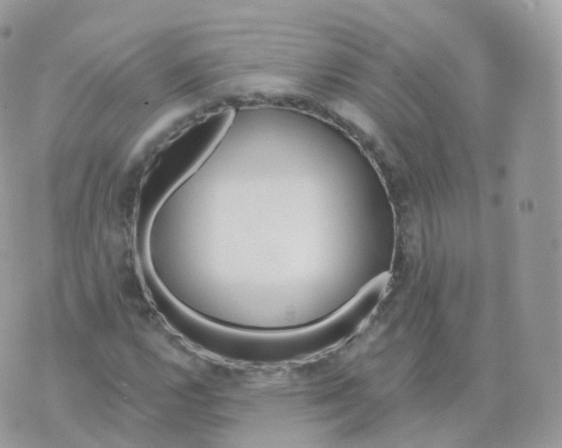 X0000070421112200606302054