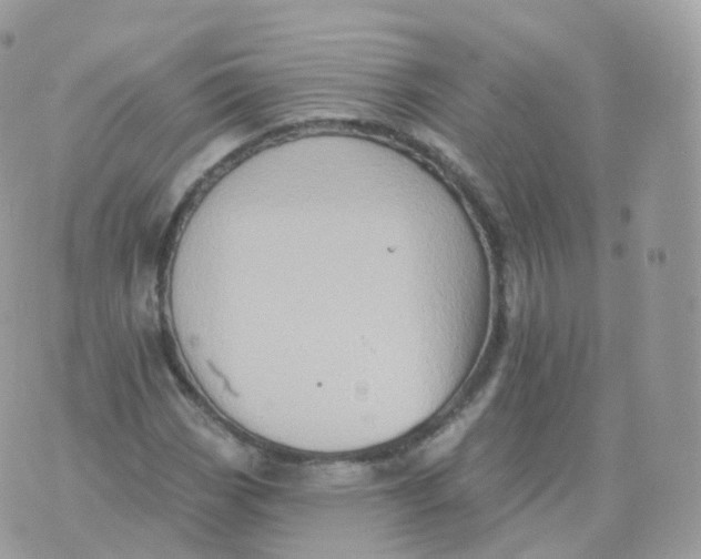 X0000070421113200606302054