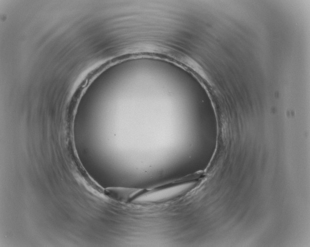 X0000070421116200606302054