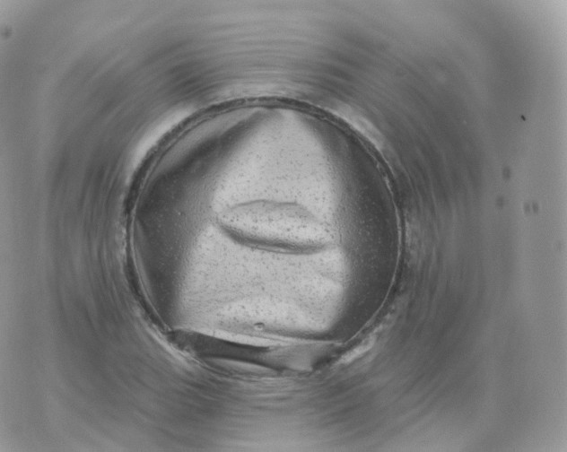 X0000070421119200606302054