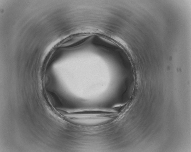 X0000070421120200606302054