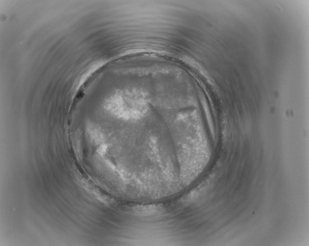 X0000070421121200606302054