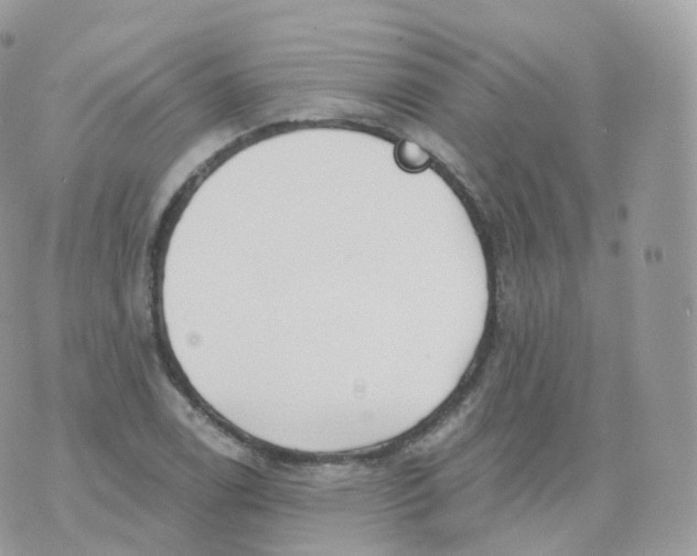 X0000070421122200606302054