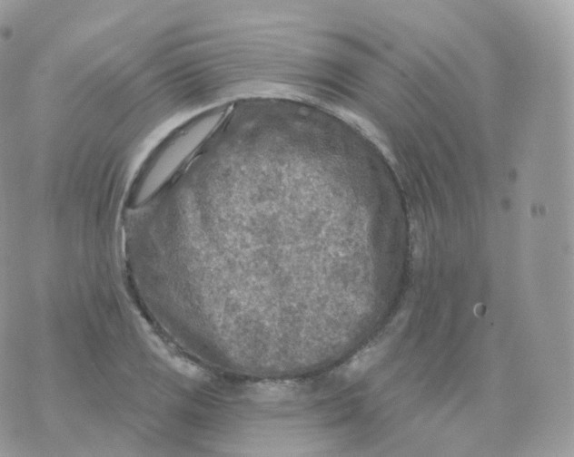 X0000070421125200606302054