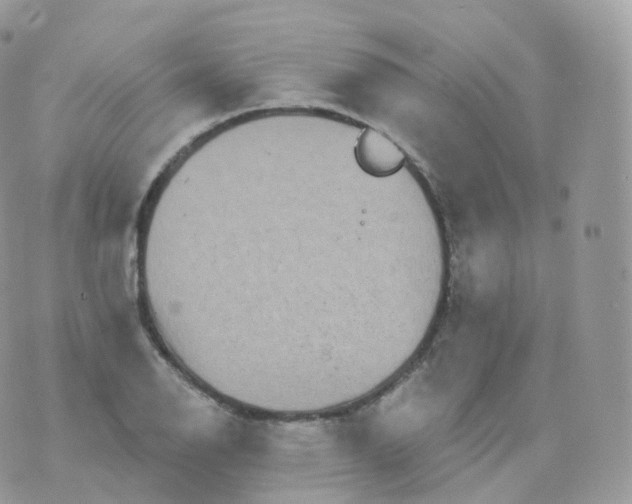 X0000070421126200606302054