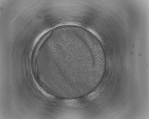 X0000070421127200606302054