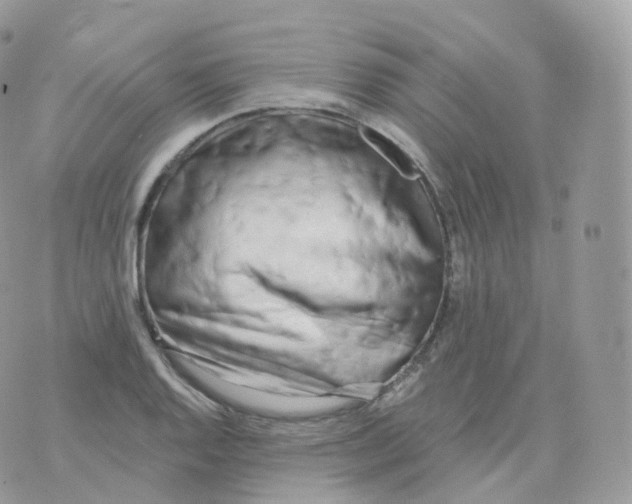 X0000070421128200606302054