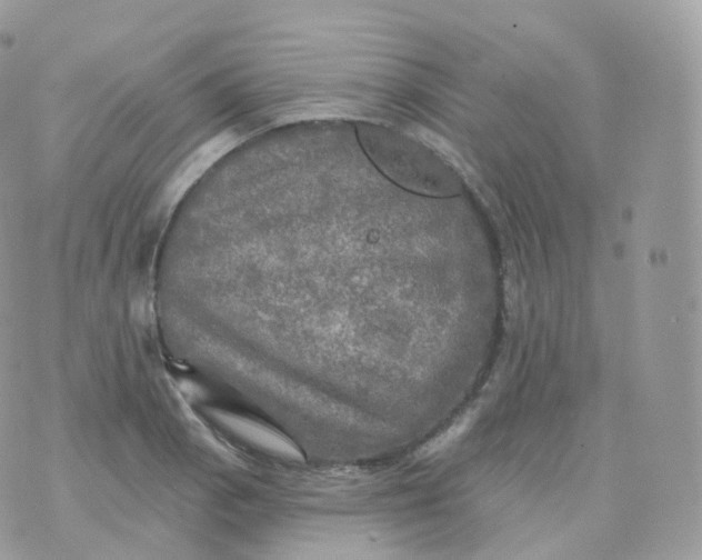 X0000070421129200606302054