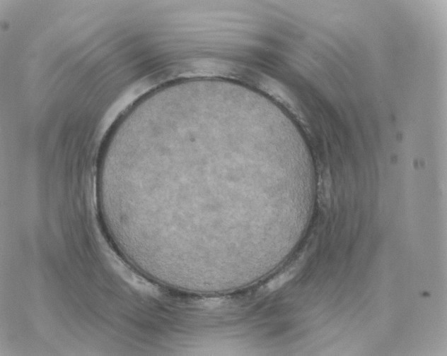 X0000070421130200606302054