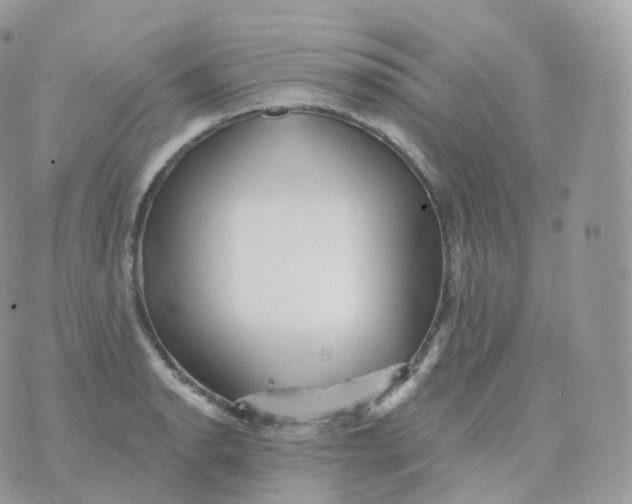 X0000070421134200606302054