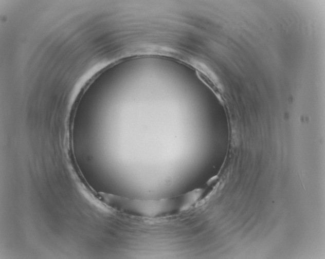 X0000070421136200606302054