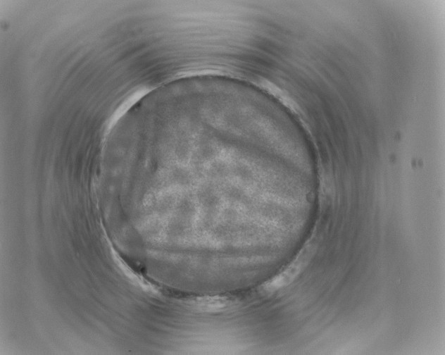 X0000070421137200606302054