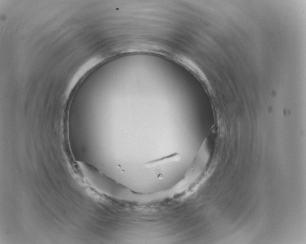 X0000070421138200606302054