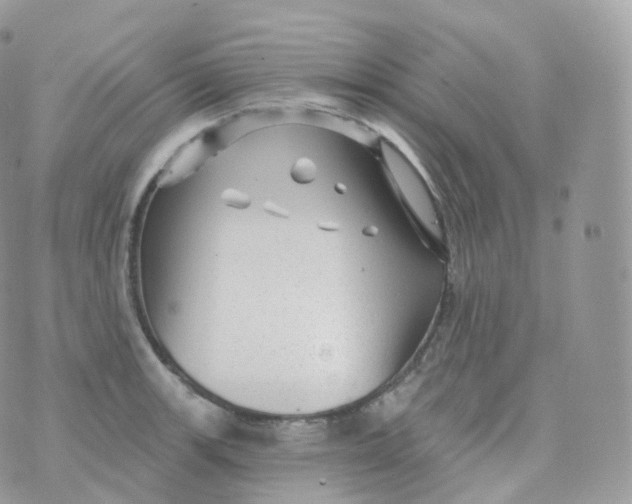 X0000070421139200606302055