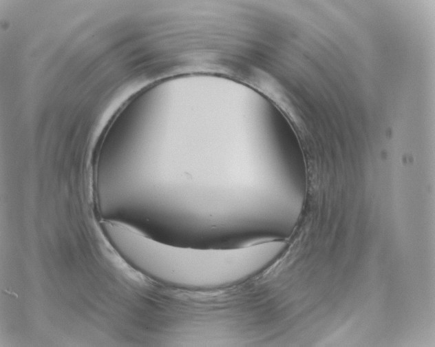 X0000070421140200606302055