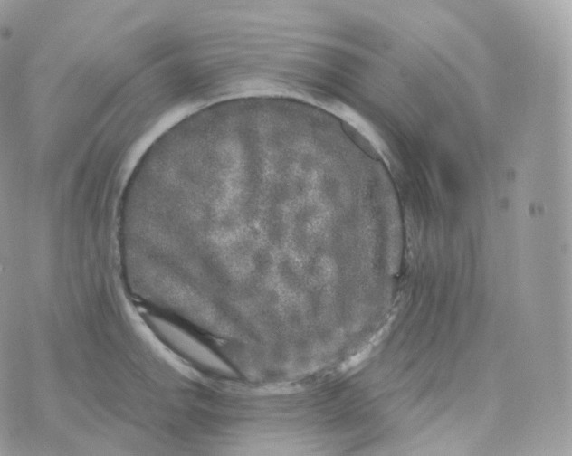 X0000070421142200606302055