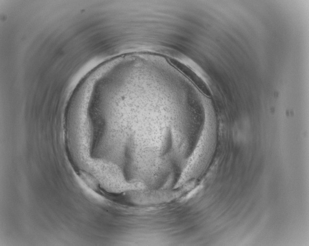 X0000070421143200606302055