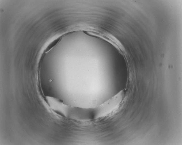 X0000070421144200606302055