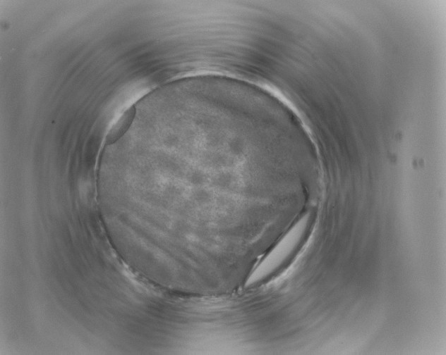 X0000070421145200606302055