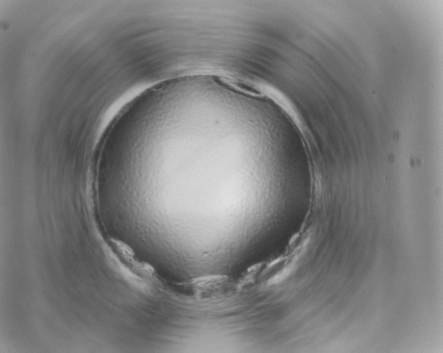 X0000070421149200606302055