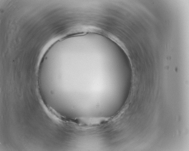 X0000070421152200606302055