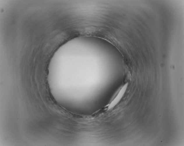 X0000070421153200606302054