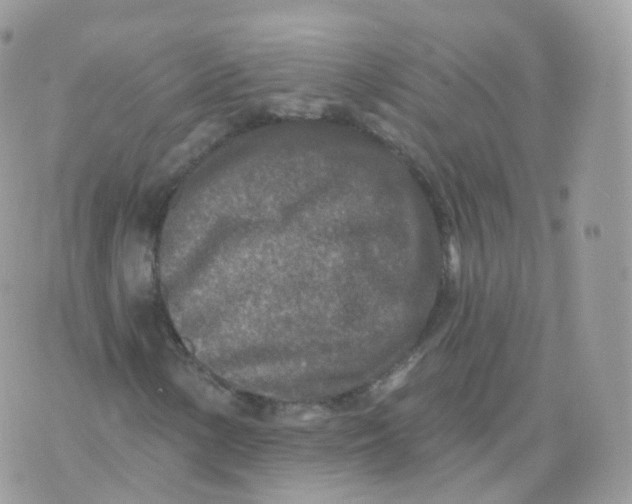 X0000070421154200606302054