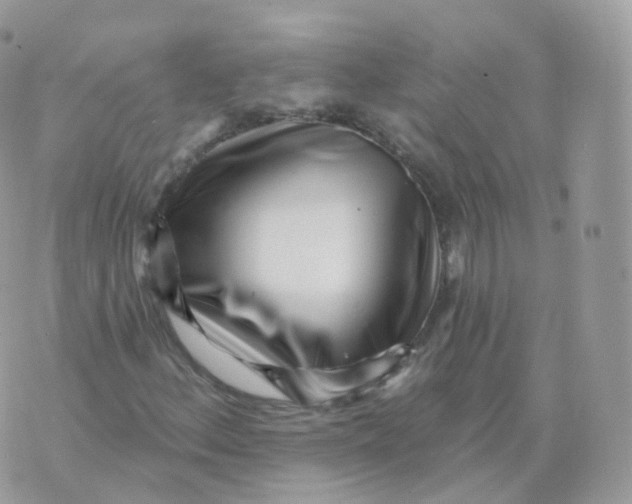 X0000070421156200606302054