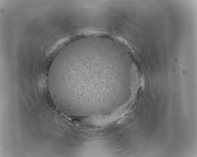 X0000070421157200606302054