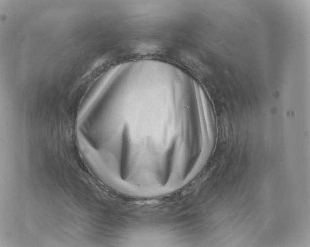 X0000070421158200606302054