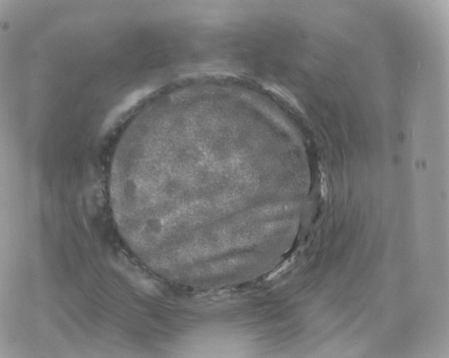 X0000070421159200606302054