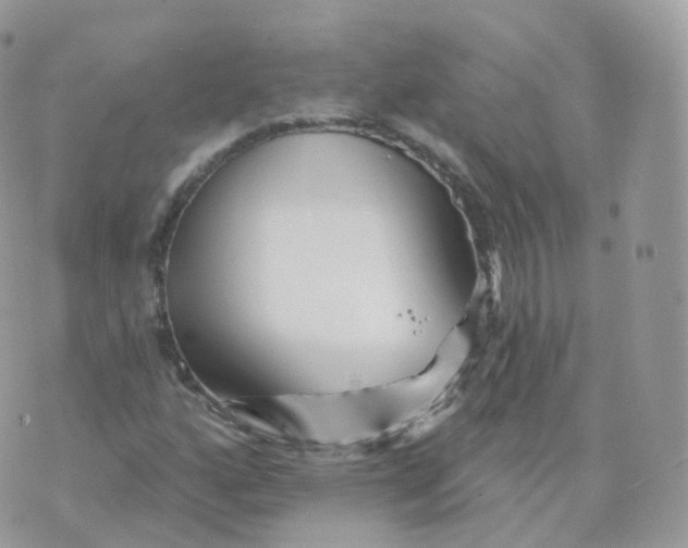 X0000070421160200606302054