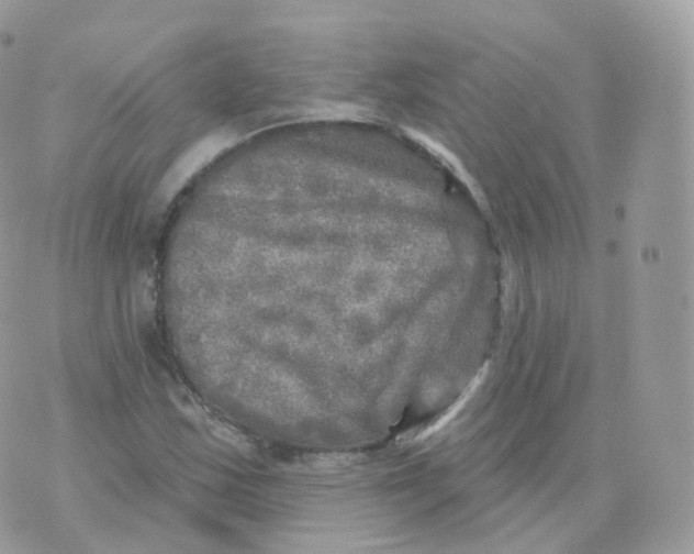 X0000070421163200606302054