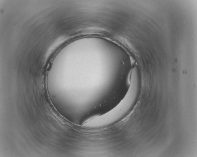 X0000070421164200606302054