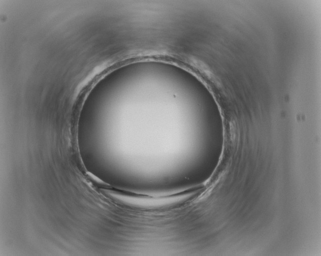 X0000070421165200606302054