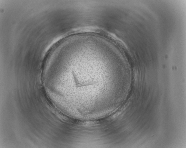 X0000070421166200606302054