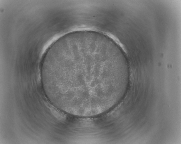 X0000070421167200606302054