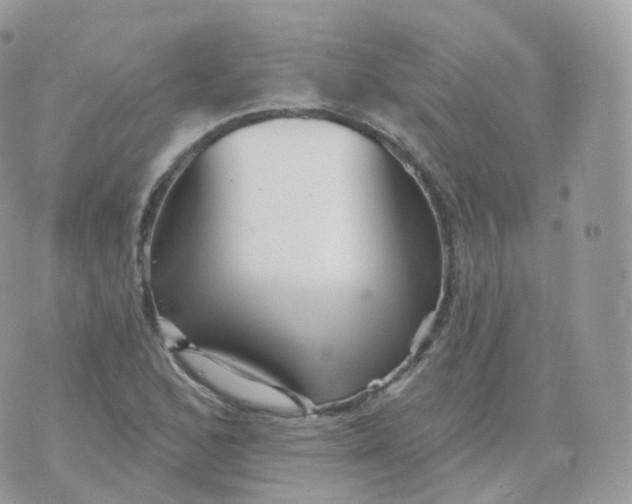 X0000070421168200606302054