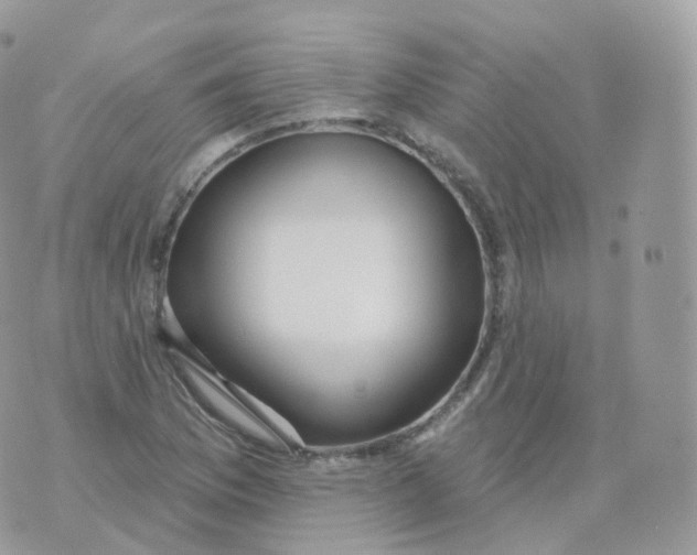 X0000070421169200606302054