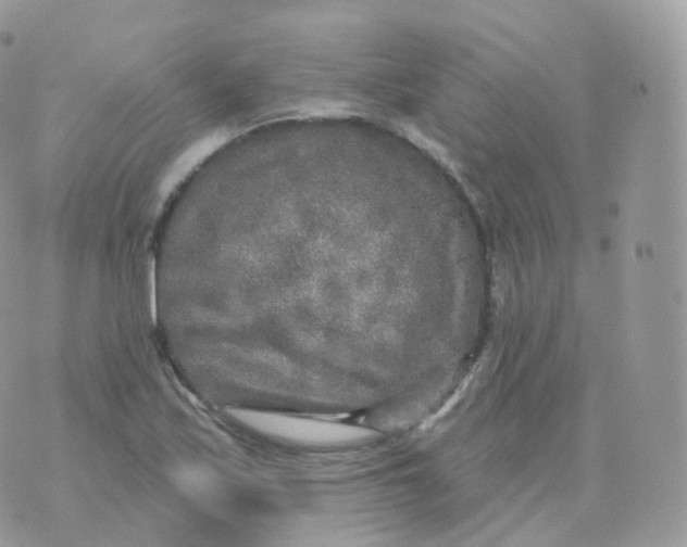 X0000070421171200606302054